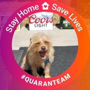 Meet your Posher, Steven